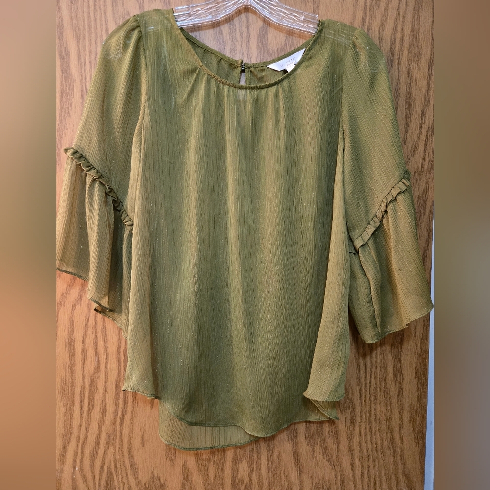 Beautiful sheer green top with gold metallic threads and 3/4 sleeves.
